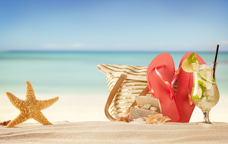 brown starfish and gold bag, sea, beach, summer, the sun, stay, HD wallpaper