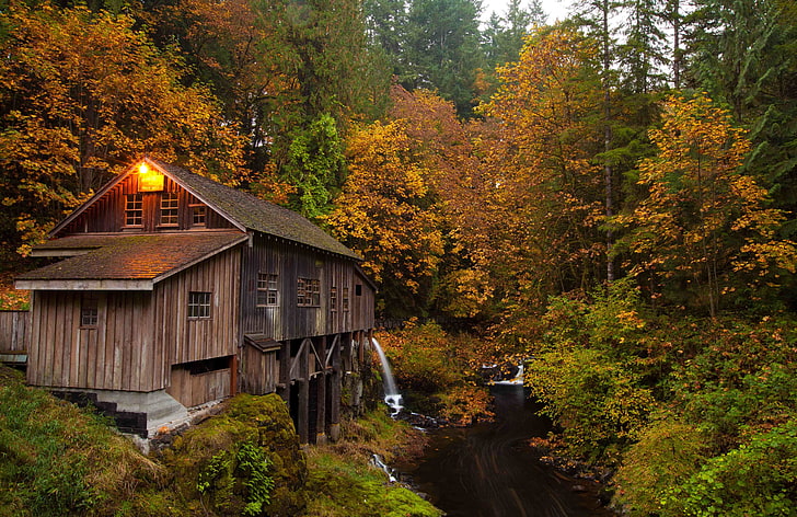 brown wooden house, forest, watermills, fall, creeks, trees, autumn