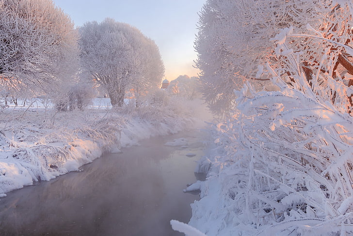 Russia, nature, landscape, winter, snow, cold temperature, plant