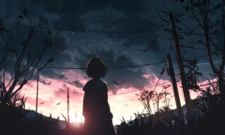 anime, birds, sunset, sky blue, power lines, silhouette