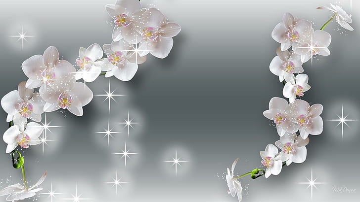 Sprinkle Silver Dust, firefox persona, stars, cherry blossoms