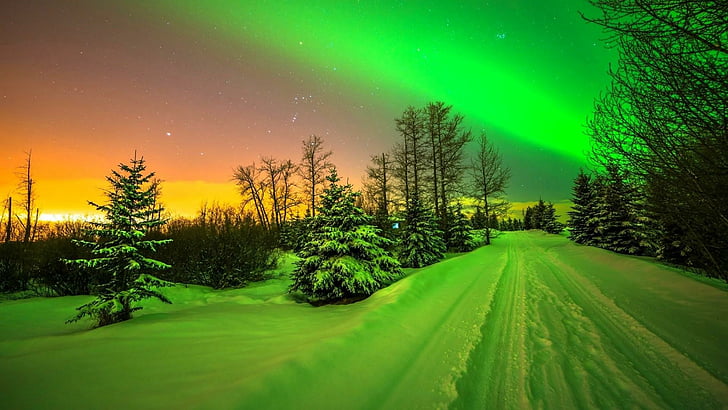 winter, aurora borealis, northern lights, road, snowy, night lights, HD wallpaper