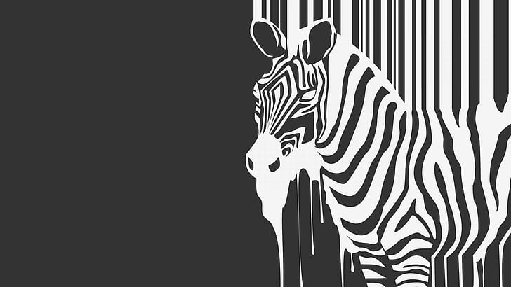 zebras, minimalism, monochrome, artwork, simple background, HD wallpaper