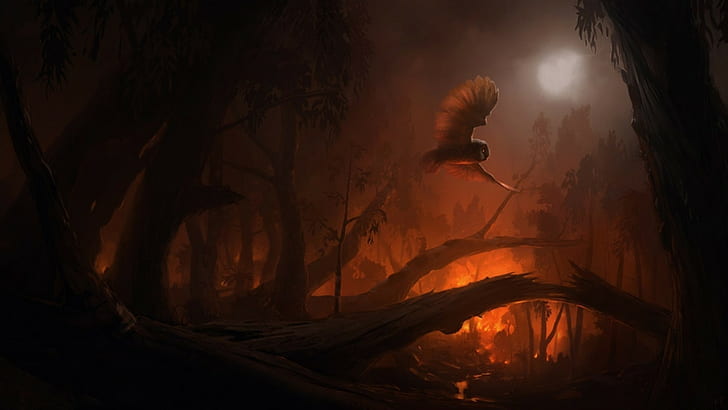 [Alas sobre la Frontera] Textos del Director Fire-forest-fantasy-art-owl-wallpaper-preview