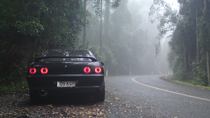 black trees forest cars mist roads scenic vehicles 1920x1080  Nature Forests HD Art