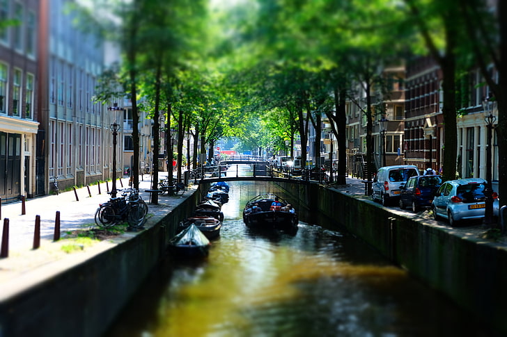 Amsterdam, Netherlands, mode of transportation, water, tree, HD wallpaper