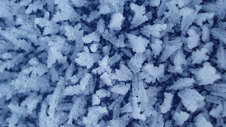 Frost Ice Macro Winter HD, nature, HD wallpaper