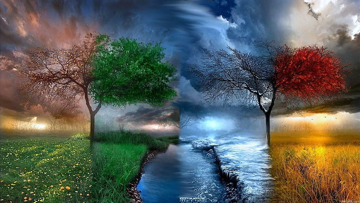 trees in any weather digital wallpaper, seasons, spring, summer, HD wallpaper