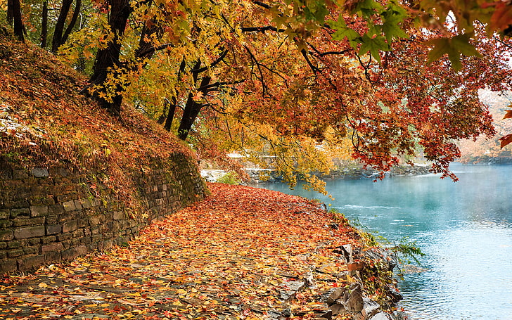 Autumn In The Garden The Summer Palace In Beijing China Red And Yellow Fallen Leaves Lake Autumn Landscape Ultra Hd Tv Wallpaper For Desktop 3840×2400