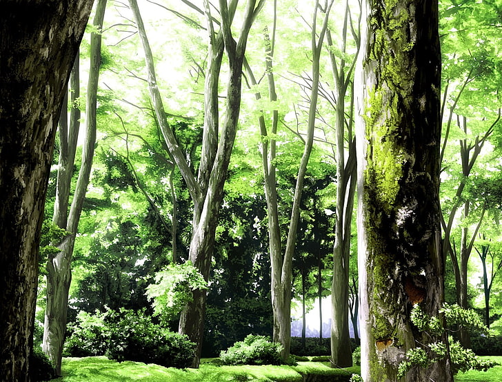 green leafed trees digital wallpaper, anime, landscape, forest, HD wallpaper