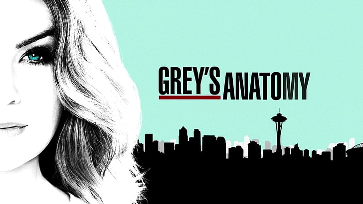 Ellen Pompeo, Meredith Grey, Grey's Anatomy, one person, real people, HD wallpaper