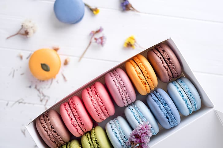 flowers, colorful, cakes, sweet, dessert, cookies, french, macaron, HD wallpaper