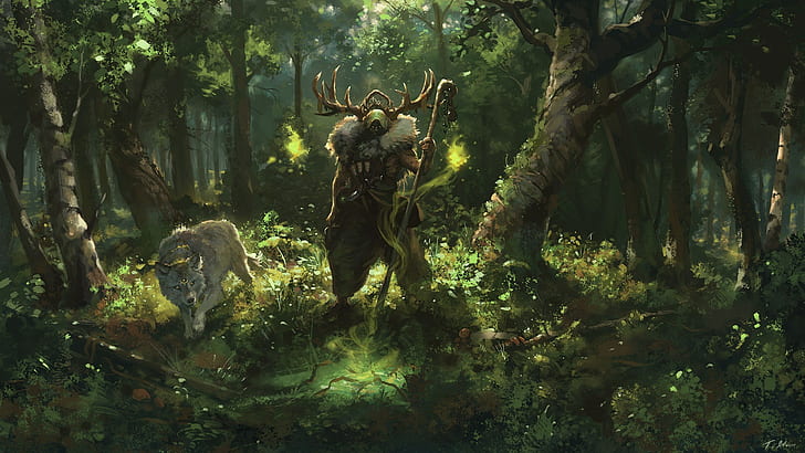 Tổng hợp cực nhiều Wood elf druid background Tải miễn phí, chất lượng cao