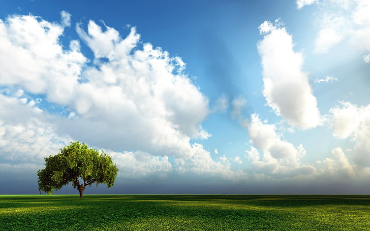 green leafed tree, landscape, sky, trees, clouds, cloud - sky, HD wallpaper