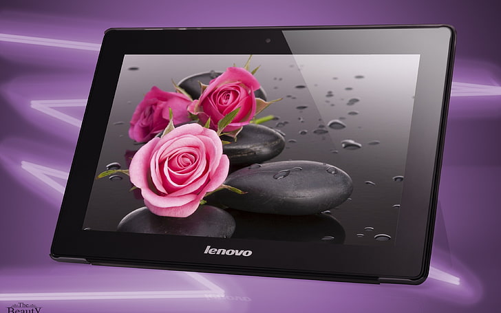 black Lenovo tablet, image, flower, flowering plant, rose, rose - flower HD wallpaper