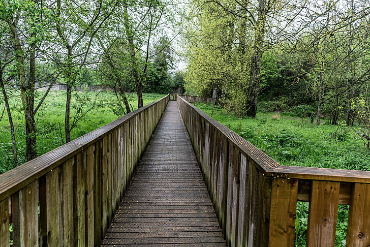 clear brown wooden bridge between trees, nore, kilkenny city, nore, kilkenny city