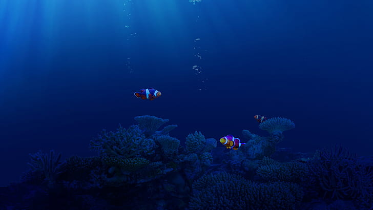 sea, underwater, fish, animals, clownfish