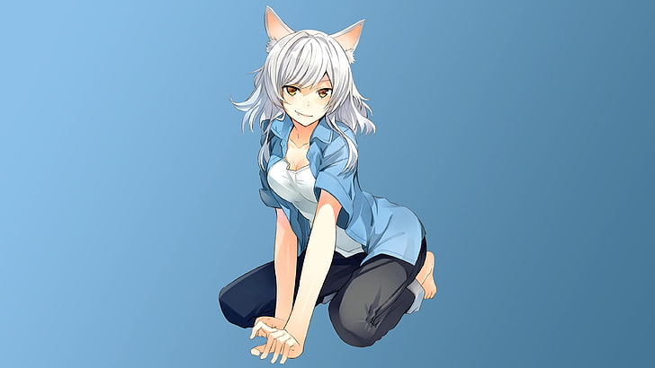 Monogatari Series, Hanekawa Tsubasa, cat girl, Sawarineko, nekomimi
