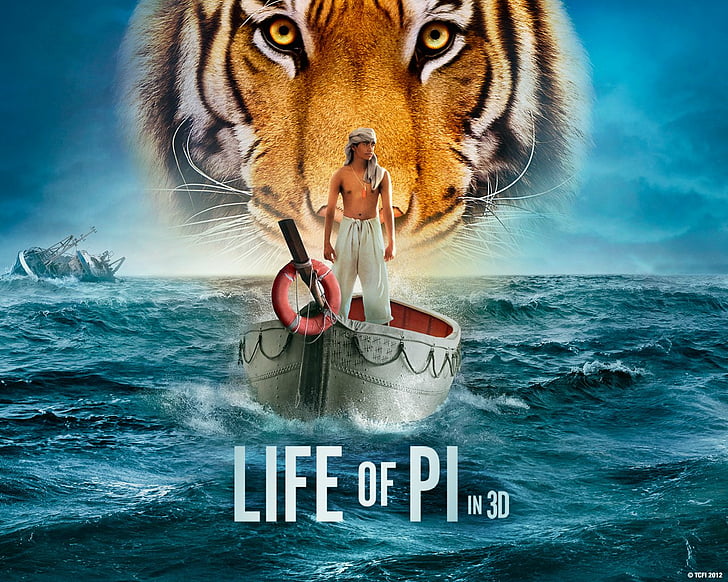 Movie, Life of Pi, animal, water, animal themes, mammal, communication, HD wallpaper