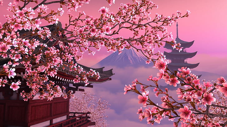 Blossoming sakura - japanese cherry tree. Blossoming branch of sakura -  japanese cherry tree. beautiful cherry blossom pink, | CanStock