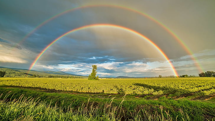 rainbow, double rainbow, sky, field, grassland, countryside, HD wallpaper