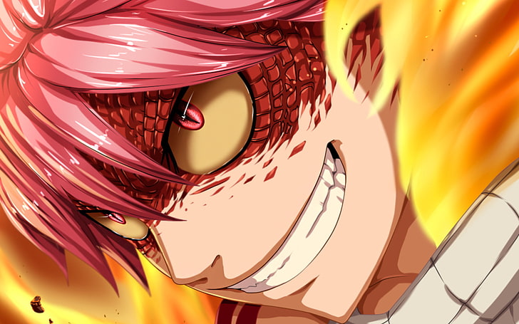 Dragon Slayer: Natsu Dragneel – ARCHI-ANIME