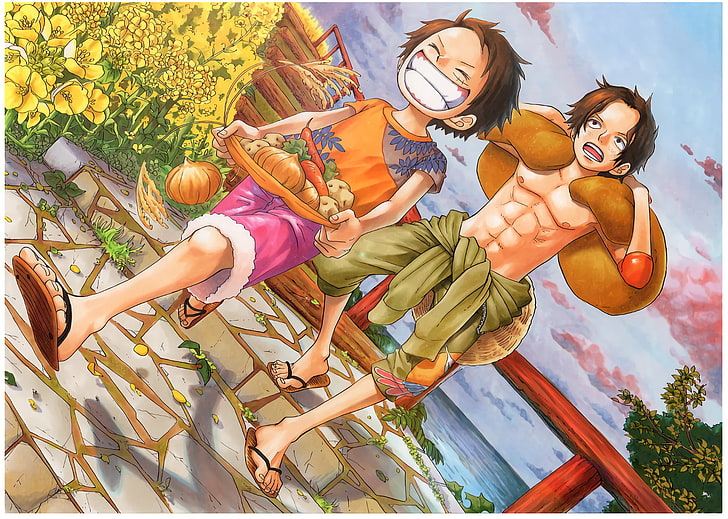Anime, One Piece, Monkey D. Luffy, Portgas D. Ace