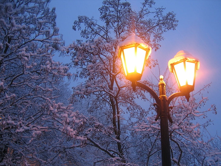 black street light, lantern, winter, snow, trees, electric Lamp, HD wallpaper