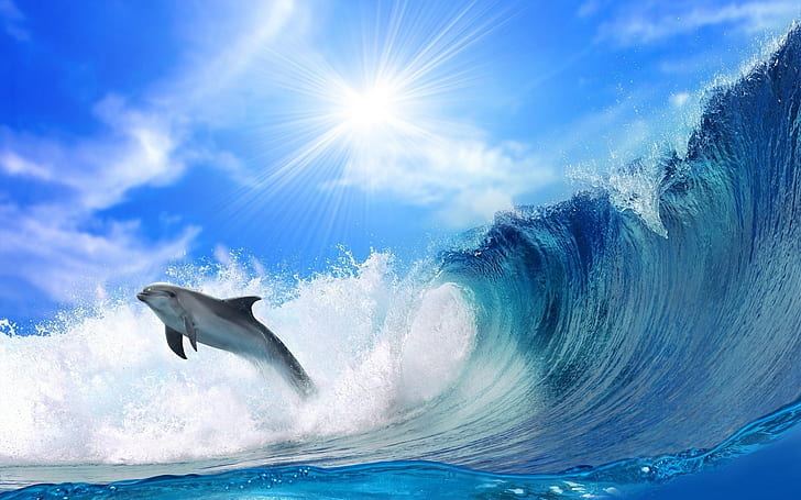 Chase dolphins and sea waves, HD wallpaper