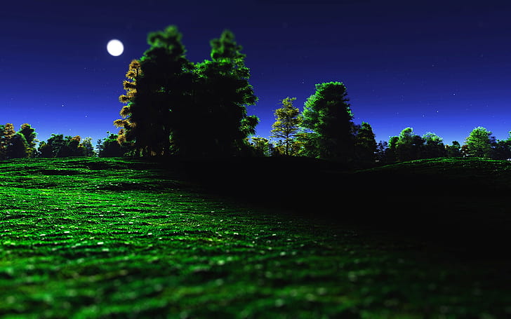 Night, Moon, Trees, Grass, Nature
