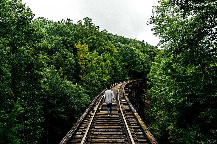 brown wooden railroad bridge, railway, man, walk, trees, rail transportation