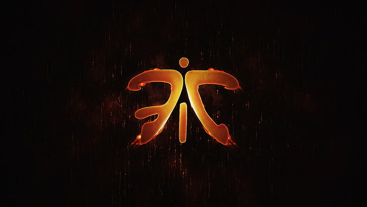 e-sports, Fnatic, League of Legends, no people, indoors, food and drink, HD wallpaper