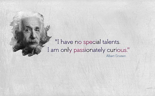 HD wallpaper: Albert Einstein quote, everybody is a genius text, typography  | Wallpaper Flare
