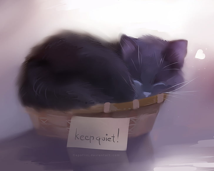 black cat sleeping in basket digital wallpaper, animals, writing