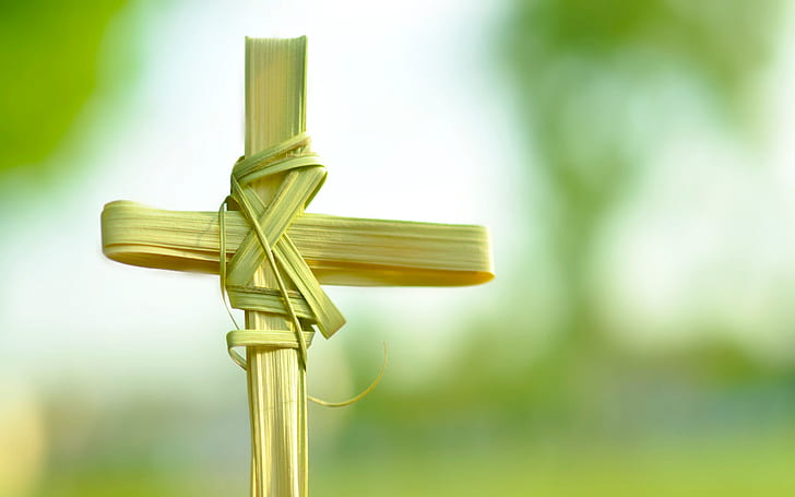 Palm sunday 1080P, 2K, 4K, 5K HD wallpapers free download | Wallpaper Flare