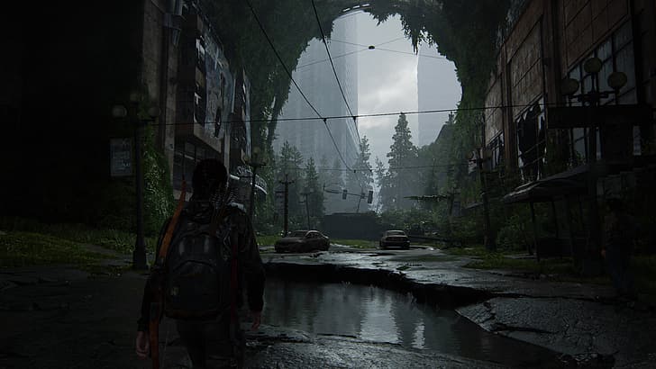 The Last of Us™ Part II, Ellie, Ashley Johnson, video game art, HD wallpaper