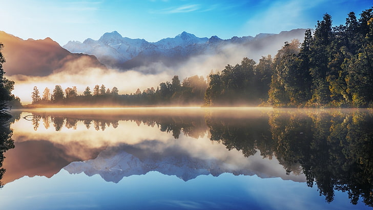 reflection photography of trees, nature, landscape, lake, mist