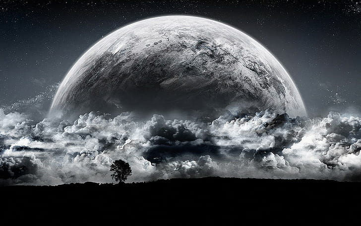 Full Moon, Moonlight, Tree, Clouds, Sky, Stars, Fantasy, HD wallpaper