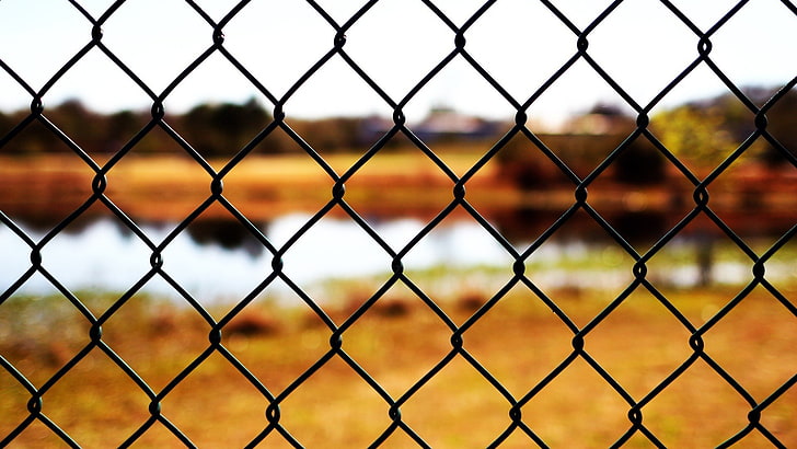 fence, nature, closeup, barrier, boundary, chainlink fence, HD wallpaper