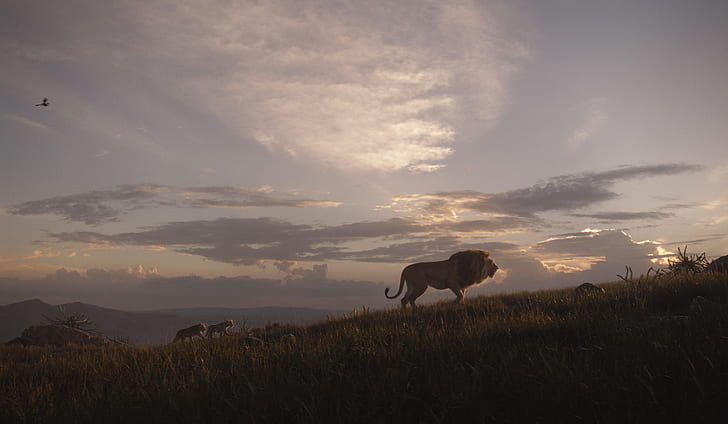 Movie, The Lion King (2019), Mufasa (The Lion King), Nala (The Lion King), HD wallpaper