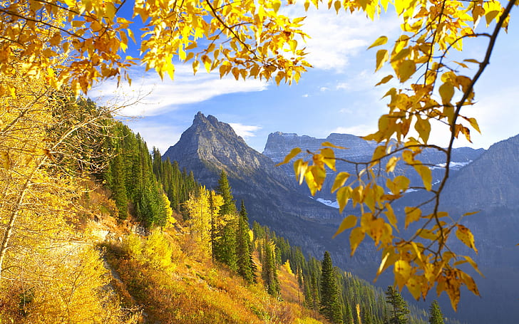 Glacier National Park and Montana Autumn mix mountain trees with autumn gold yellow leaves Landscape Wallpapers HD 2560×1600, HD wallpaper