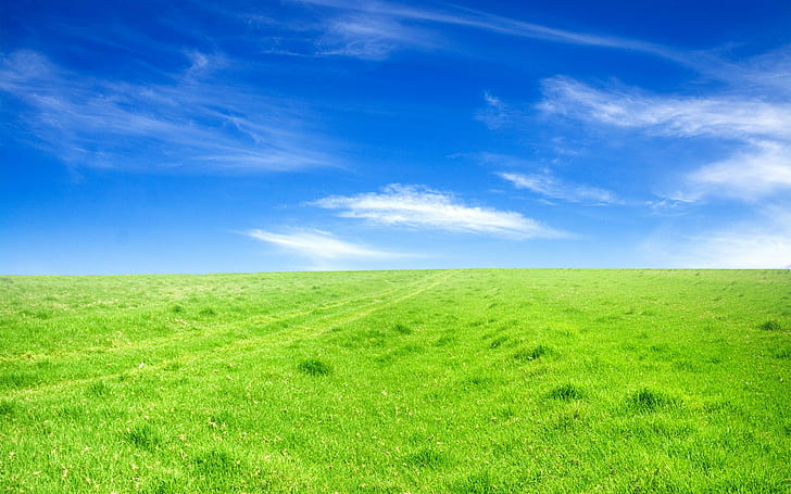 HD wallpaper: green, grass, Blue, sky | Wallpaper Flare
