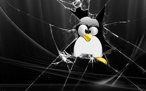 HD wallpaper: linux hacking hackers 1920x1080 Technology Linux HD Art |  Wallpaper Flare
