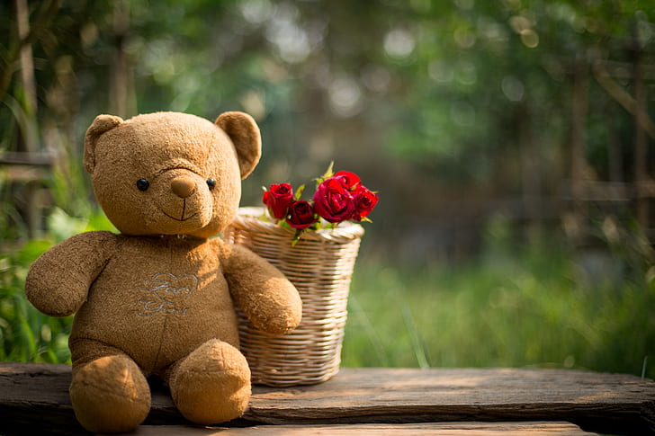 HD wallpaper: love, flowers, gift, toy, heart, roses, bear, red, wood,  romantic | Wallpaper Flare