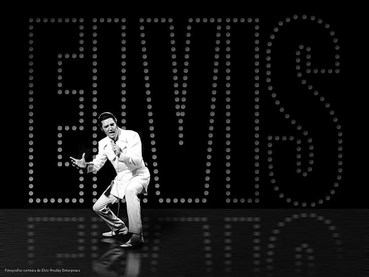 Elvis singer Elvis People Actors HD Art, HD wallpaper