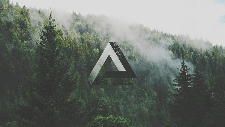 green pine trees, triangle, geometry, forest, Penrose triangle