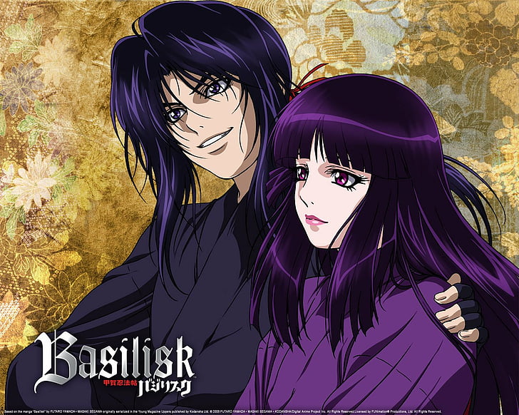 Basilisk Sequel Novels Get TV Anime, Manga - News - Anime News Network-demhanvico.com.vn