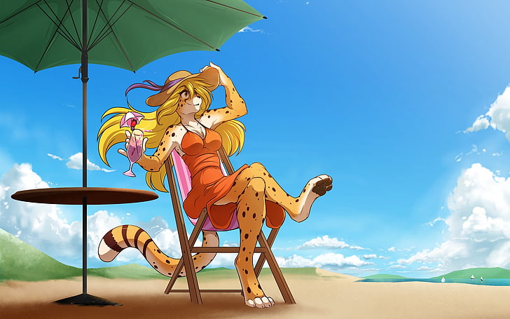 Hd Wallpaper Blue And Red Bird Painting Furry Anthro Beach Cheetah Sky Wallpaper Flare