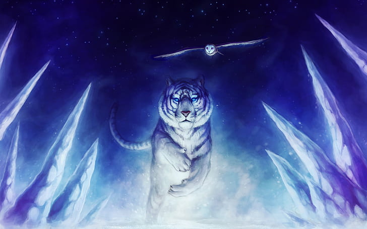 White Tiger Owl Art, white tiger and owl, HD wallpaper