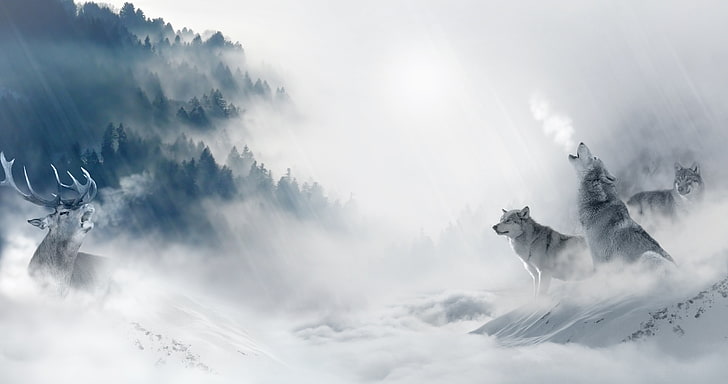 illustration two dire wolves in artic